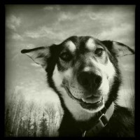 Barsky_Annie_2904_00