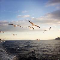 Hideyuki_Mizoguchi_2204_00