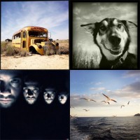 Photo_of_the_month