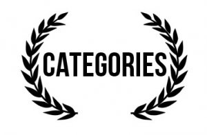 awards_2013_categories