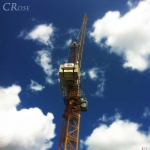 c_rose_crane-loftus