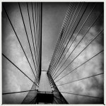 darryl_chapman_bridge_10