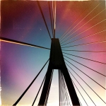 darryl_chapman_bridge_19