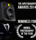 awards-2014-nominees-animal-00