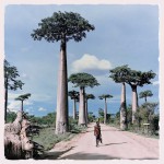 Madagascar-HipstaPak-sample-02