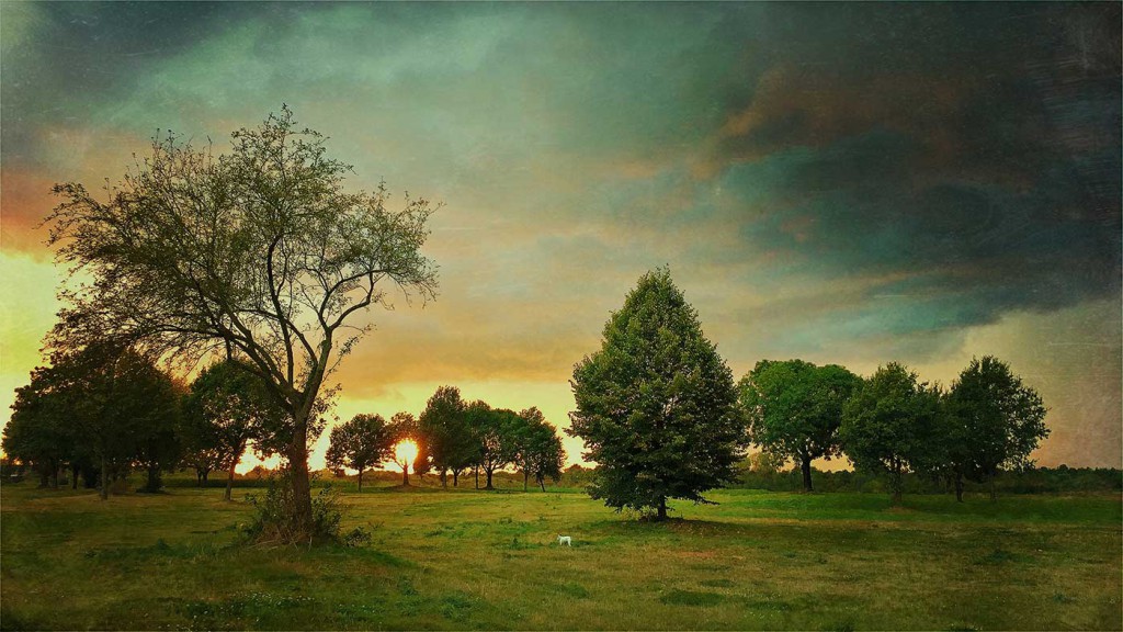 ger-van-den-elzen-digitally-painted-landscapes-04