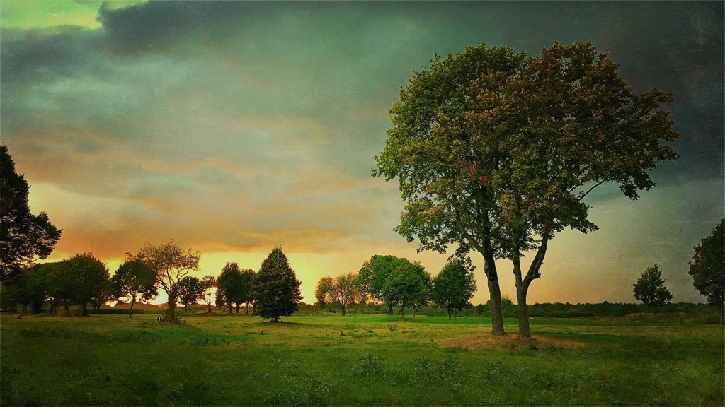 ger-van-den-elzen-digitally-painted-landscapes-05