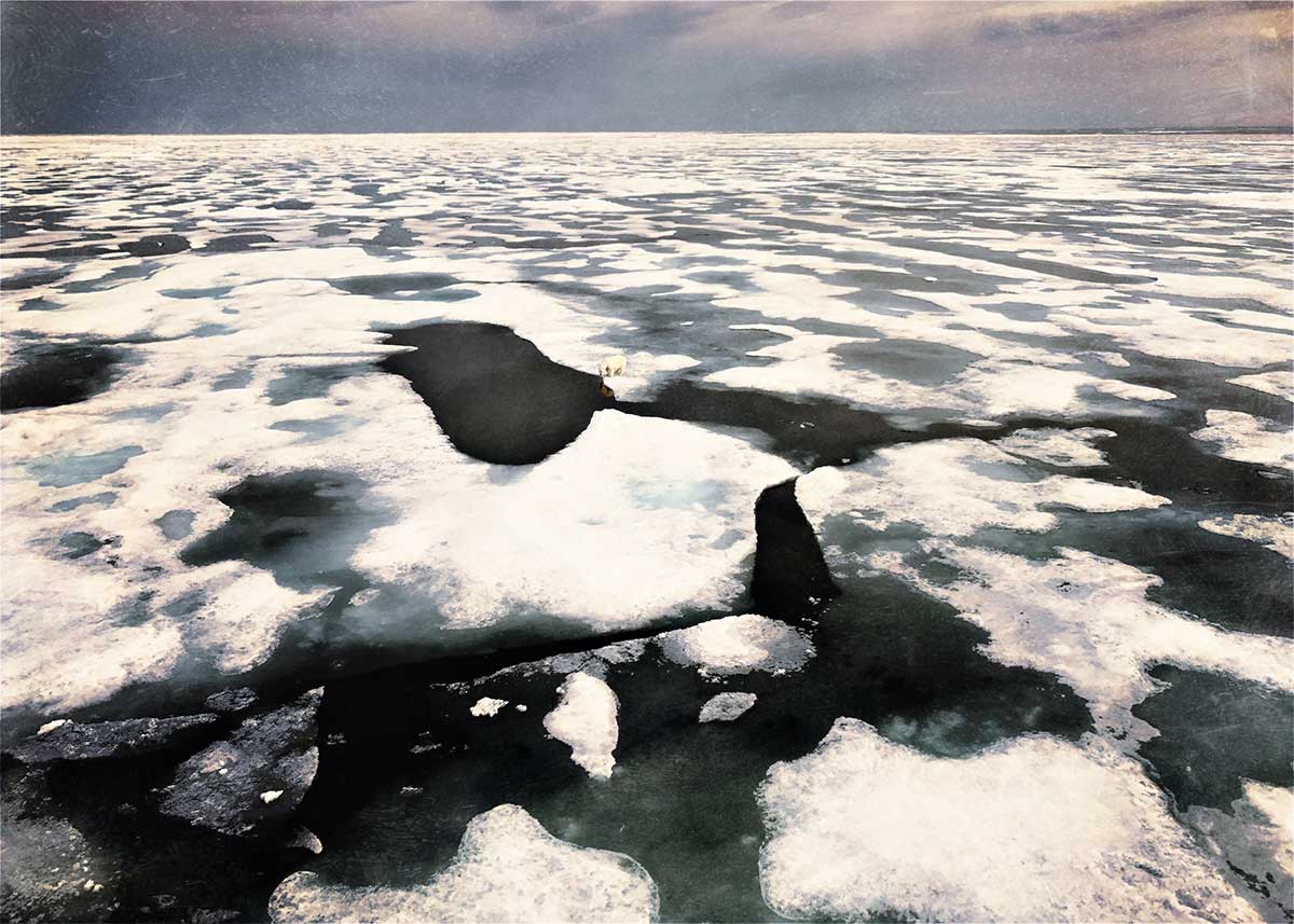 Lydia-Cassatt-Arctic-20